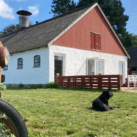 Dambaekgaard Sustainable Farm Villa Harlev  Exterior photo